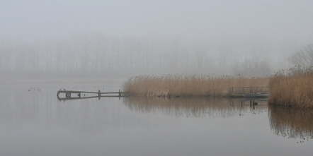 Lepper Ulf  - Fotoclub Kiel  - See im Nebel - Natur - Annahme