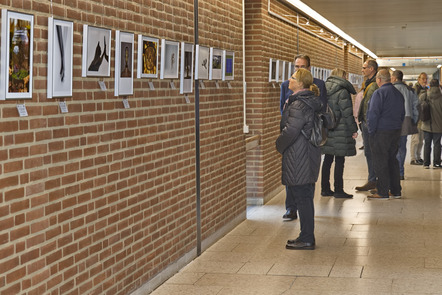 Fotogalerie Printcup Ausstellung in der MHH